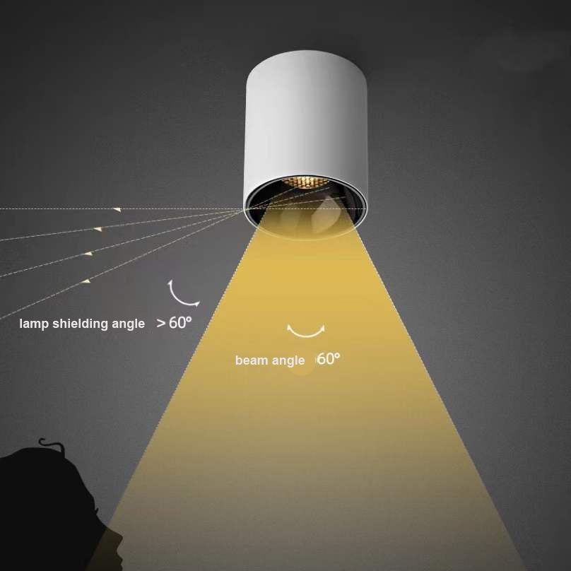 SMSD-140 -Surface Spotlight