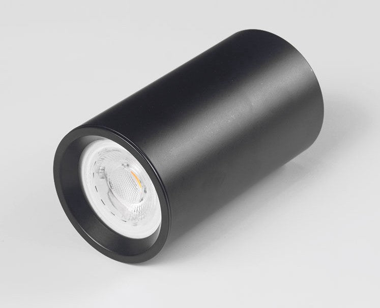 SMSD-144 -Surface Spotlight