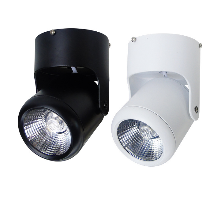 SMSD-170 -Surface Spotlight