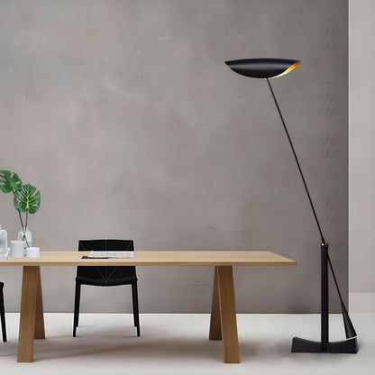 TFL-2770 Floor Lamps