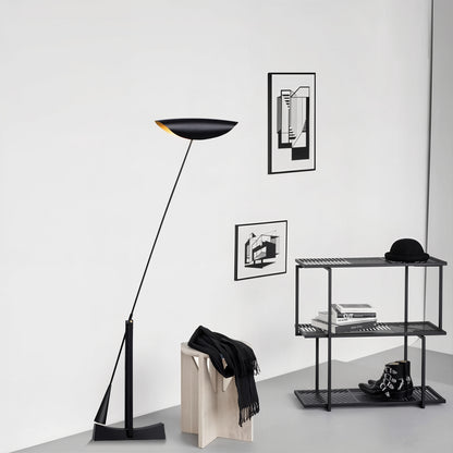TFL-2770 Floor Lamps