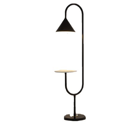 TFL-2840 Floor Lamps