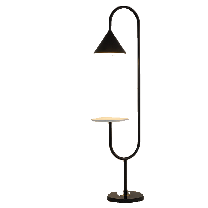TFL-2840 Floor Lamps