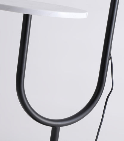 TFL-2840 Floor Lamps