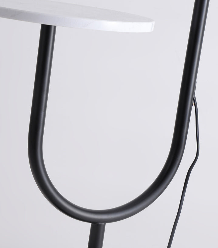 TFL-2840 Floor Lamps
